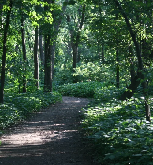 Priorities Trail at Orchard Glen Park